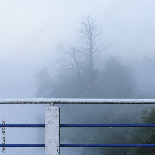 FOG - Mist on the bridge over the river