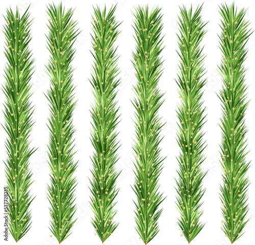 Christmas tree decorations. Fir branches design elements. Vertical borders with star sparklers