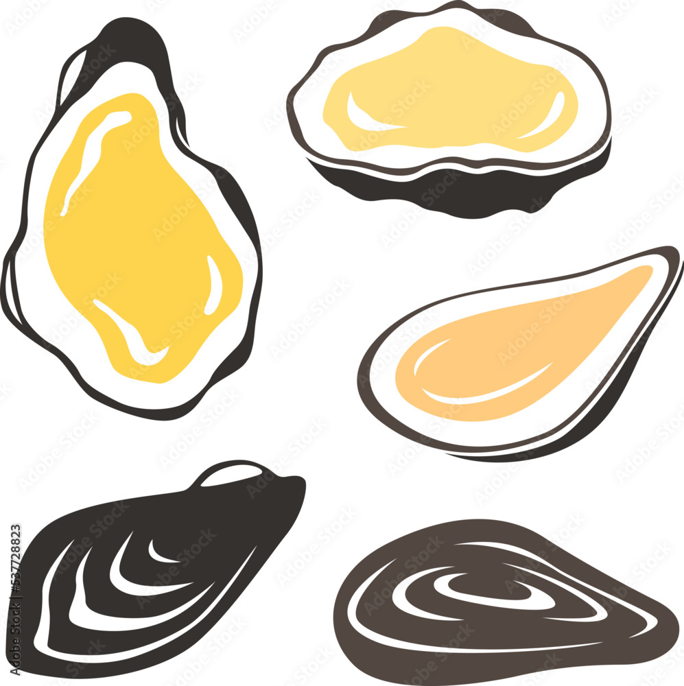 Oyster. Set of shellfish isolated vector illustrations.
