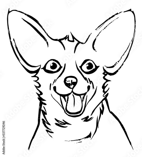 Vector illustration of a sketch of a corgi dog. Graphic drawing by line, drawing by hand.
