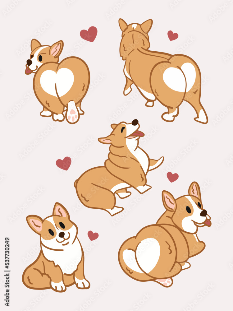 Set of Image Corgi Dog illustration background design