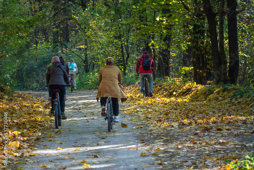 A large family rides bicycles along quiet paths in the autumn forest. Spend time with your family, ride a bike in ecologically clean places. Autumn forest and colorful foliage