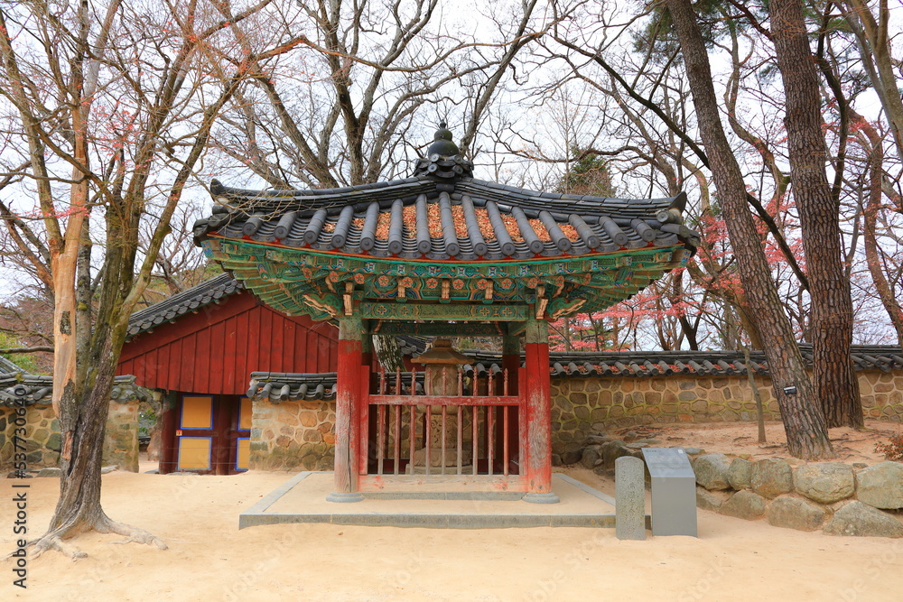 Fototapeta premium 대한민국 경주에 있는 유명한 관광명소인 불국사의 아름다운 가을 풍경이다.