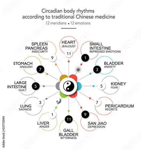 Circadian body rhythm. 12 organs associated with their emotions, chronobiological clock, yin yang energy and the five elements (colors)