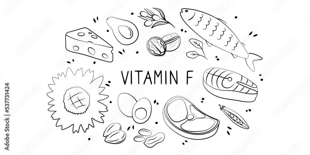Vitamin F linoleic linolenic Acid. Groups of healthy products containing vitamins. Set of fruits, vegetables, meats, fish and dairy Vitamin F linoleic linolenic Acid. Groups of healthy products containing vitamins. Set of fruits, vegetables, meats, fish and dairy