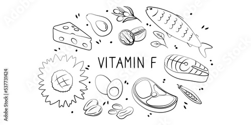 Canvastavla Vitamin F linoleic linolenic Acid