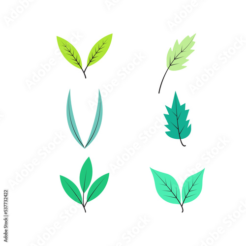 Wild flowers  herbs  leaves. Botanic  herbaceous leaf wild plant collection  illustration for vector elements collection