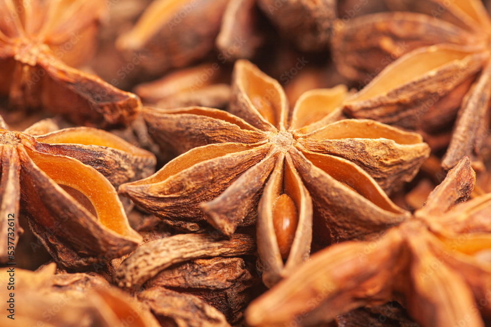 Star anises dried spice fruits Star anises dried spice fruits