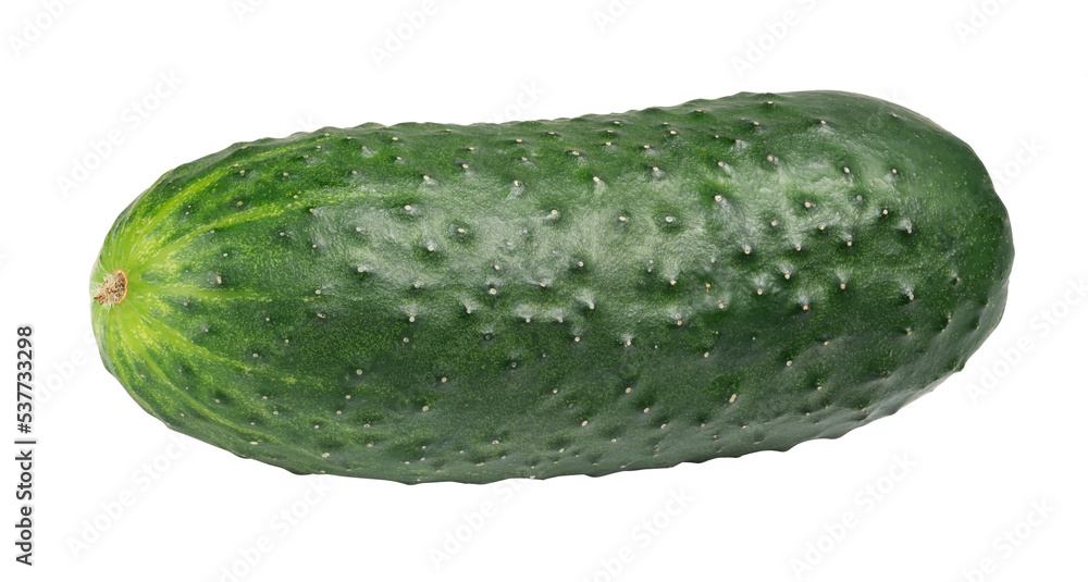 cucumber isolated on white. the entire image in sharpness. cucumber isolated on white. the entire image in sharpness.
