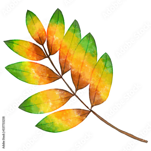 Watercolor Autumn Leaf