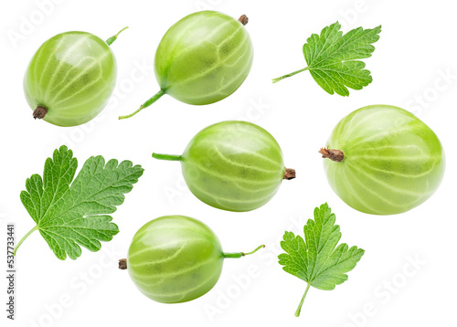 green berries and leaves of gooseberry isolated on white. the entire image in sharpness. photo