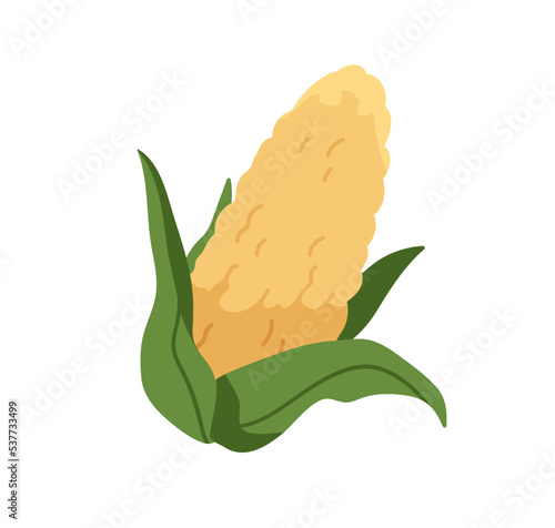 Sweet corn cob. Fresh ripe corncob. Sweetcorn, maize in leaves vegetable. Yellow veggie with seeds. Healthy vegetarian food. Flat vector illustration isolated on white background