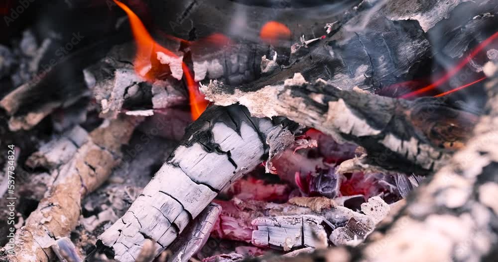 A fire made of logs while cooking barbecue on vacation at the weekend, burnt birch and pear logs while cooking meat on coals A fire made of logs while cooking barbecue on vacation at the weekend, burnt birch and pear logs while cooking meat on coals