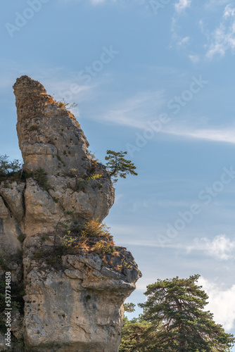 Tree on rocky peak in gorges of jonte.