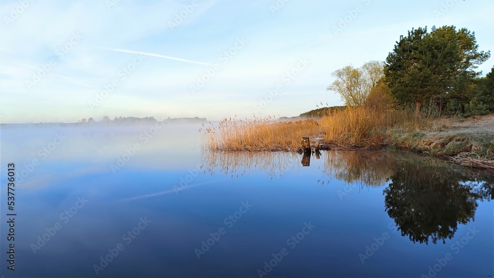 Early in the morning, the rays of the rising sun illuminate the branches of willow and pine trees growing on the lake shore and the reeds standing in the water. Fog swirls over the water