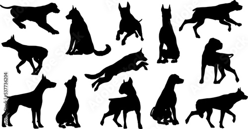 Fototapete A set of detailed animal silhouettes of a pet dog