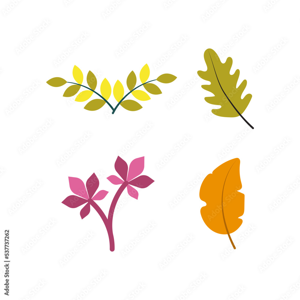 Collection of Autumn leaves, maple, dried elm leaves. Yellow or red deciduous forest leaves drawn for vector elements