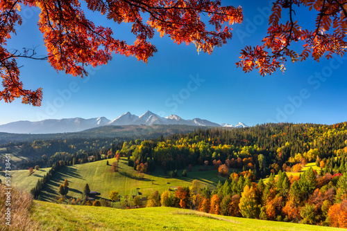 Fototapeta Naklejka Na Ścianę i Meble -  Beautiful autumn with a red tree under the Tatra Mountains at sunrise. Slovakia