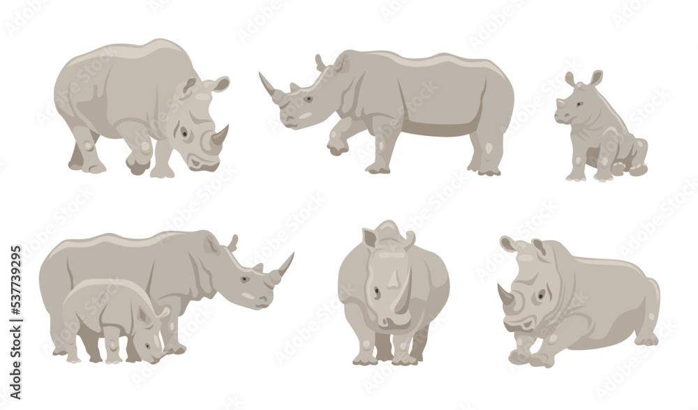 Rhinoceros with young animal cartoon illustration set. Gray rhino character  in different positions, walking, lying and sitting on white background.  Animal, family, wildlife concept Stock Vector | Adobe Stock