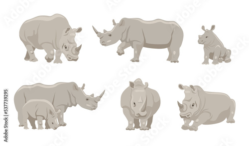 Rhinoceros with young animal cartoon illustration set. Gray rhino character in different positions, walking, lying and sitting on white background. Animal, family, wildlife concept