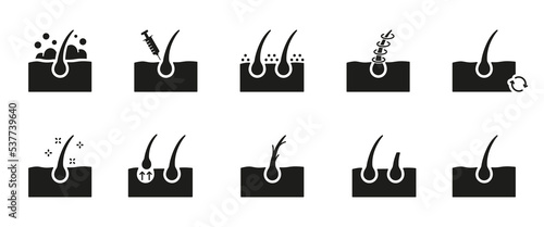 Hair Care and Loss Problem. Hair Cosmetic Silhouette Icons. Shampoo, Dandruff, Haircut, Growth and Alopecia Black Icon. Treatment and Problem of Hair. Isolated Vector illustration
