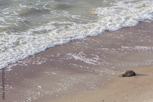 Beautiful sandy beach on the Baltic Sea with a big granite stone an d waves, aerial view photo