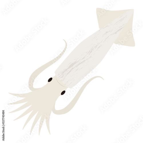 いかのイラスト