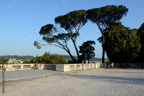 the baroque-style terrace of the Pincio, a well-known panoramic point of Villa Borghese with its spectacular umbrella pines. photo