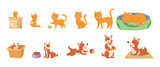Stages of cat and dogs growth cartoon illustration set. Happy little and elderly pets characters growing, playing with ball, sleeping and eating food. Time, domestic animal, life progress concept