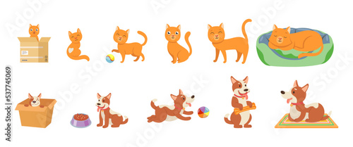 Stages of cat and dogs growth cartoon illustration set. Happy little and elderly pets characters growing, playing with ball, sleeping and eating food. Time, domestic animal, life progress concept