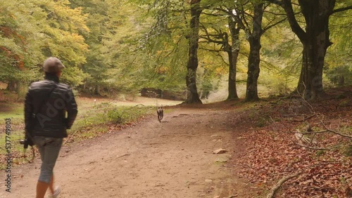 Joven mujer, pasea con su perro por el parque en otoño 
