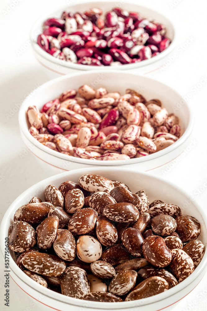 Organic heirloom beans in white ceramic bowls. Scarlet runner, pinto, anasazi beans. Rich in protein. Organic heirloom beans in white ceramic bowls. Scarlet runner, pinto, anasazi beans. Rich in protein.