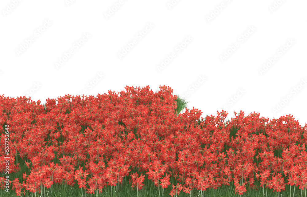 Field of flowers on transparent background. 3d rendering - illustration Field of flowers on transparent background. 3d rendering - illustration