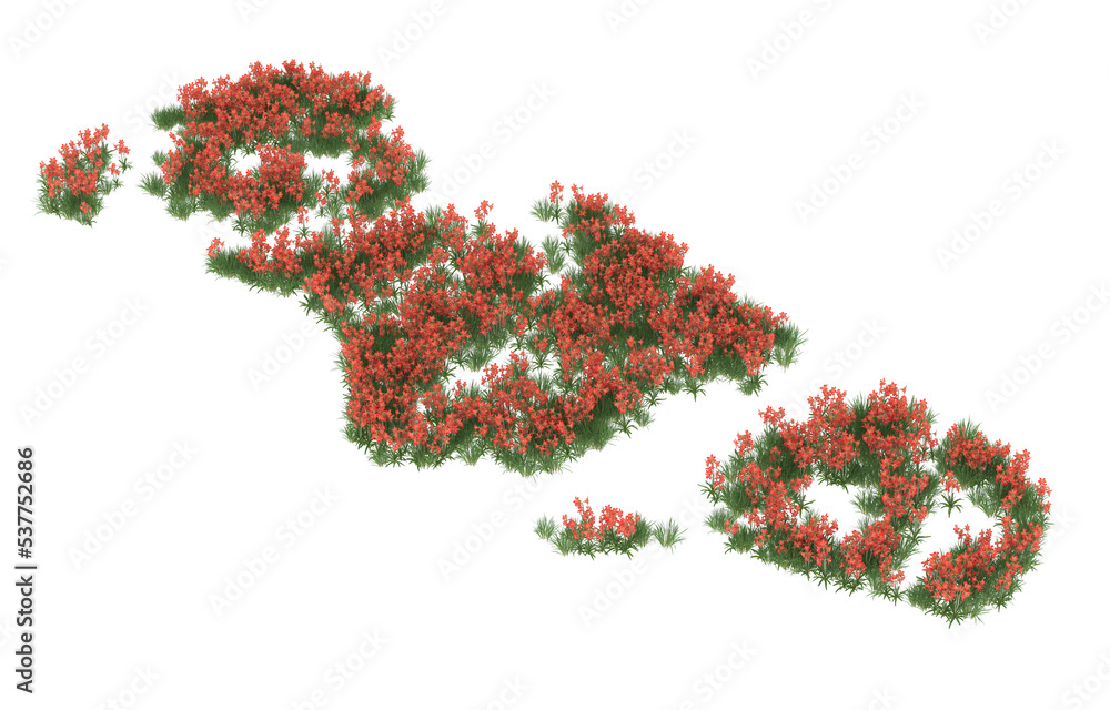 Field of flowers on transparent background. 3d rendering - illustration Field of flowers on transparent background. 3d rendering - illustration