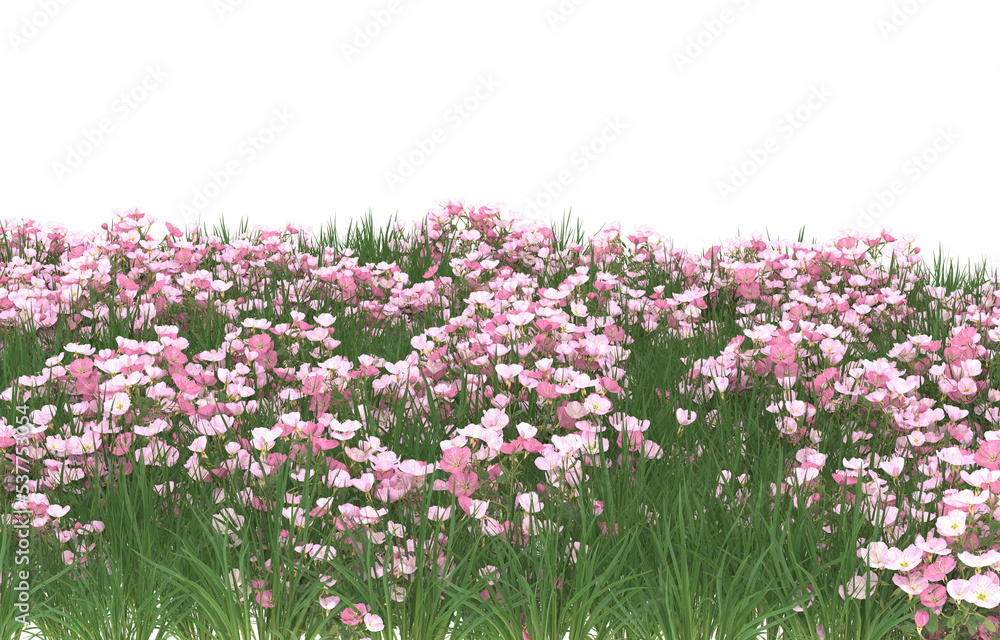 Field of flowers on transparent background. 3d rendering - illustration Field of flowers on transparent background. 3d rendering - illustration