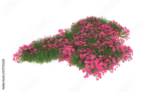 Field of flowers on transparent background. 3d rendering - illustration