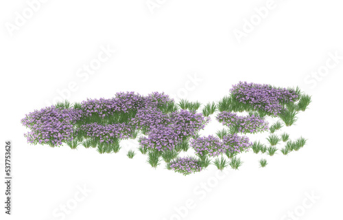 Field of flowers on transparent background. 3d rendering - illustration