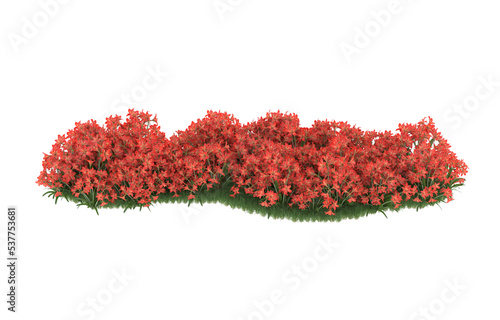 Field of flowers on transparent background. 3d rendering - illustration