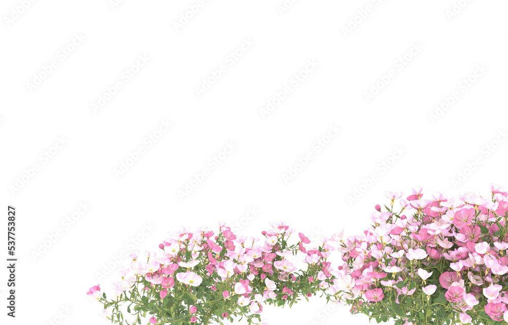 Field of flowers on transparent background. 3d rendering - illustration Field of flowers on transparent background. 3d rendering - illustration