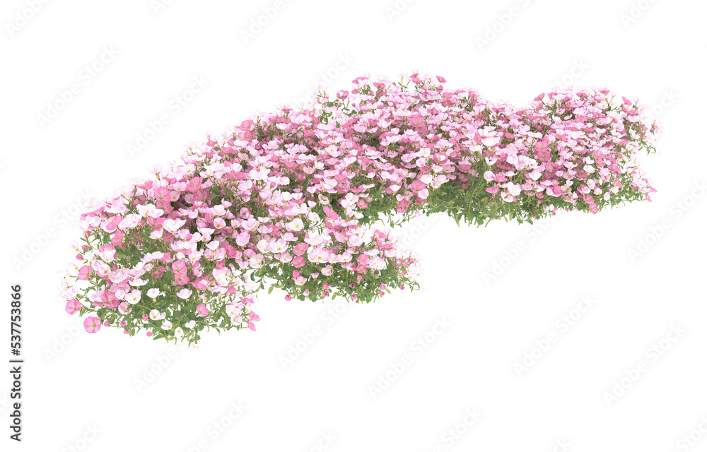 Field of flowers on transparent background. 3d rendering - illustration Field of flowers on transparent background. 3d rendering - illustration