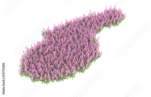 Field of flowers on transparent background. 3d rendering - illustration