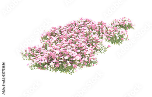 Field of flowers on transparent background. 3d rendering - illustration © Cristian