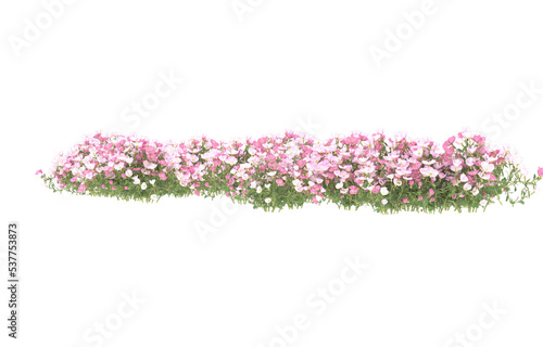 Field of flowers on transparent background. 3d rendering - illustration