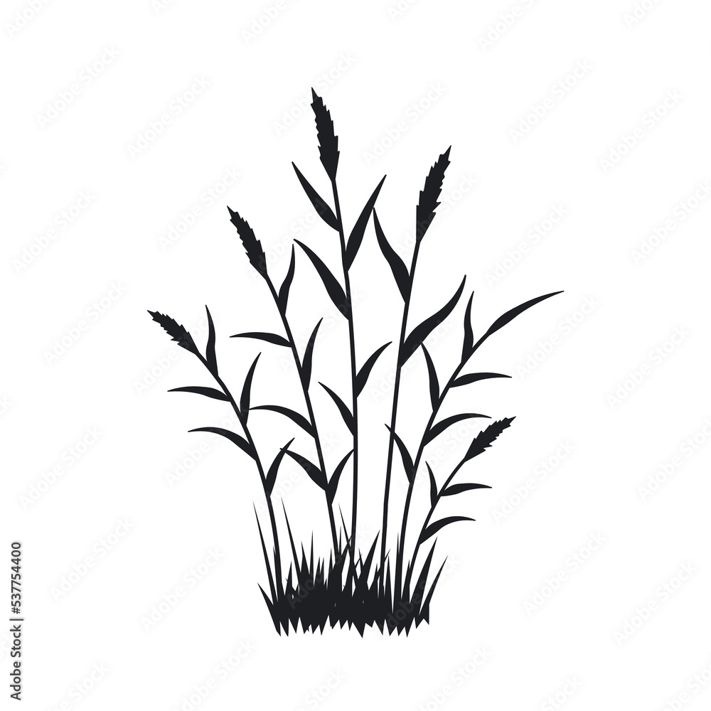 silhouette of a thicket of reeds silhouette of a thicket of reeds