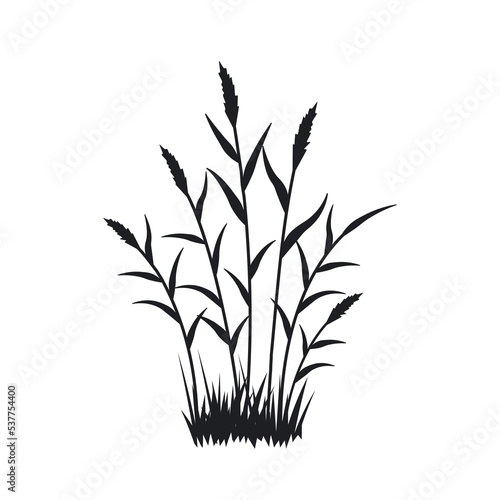 silhouette of a thicket of reeds