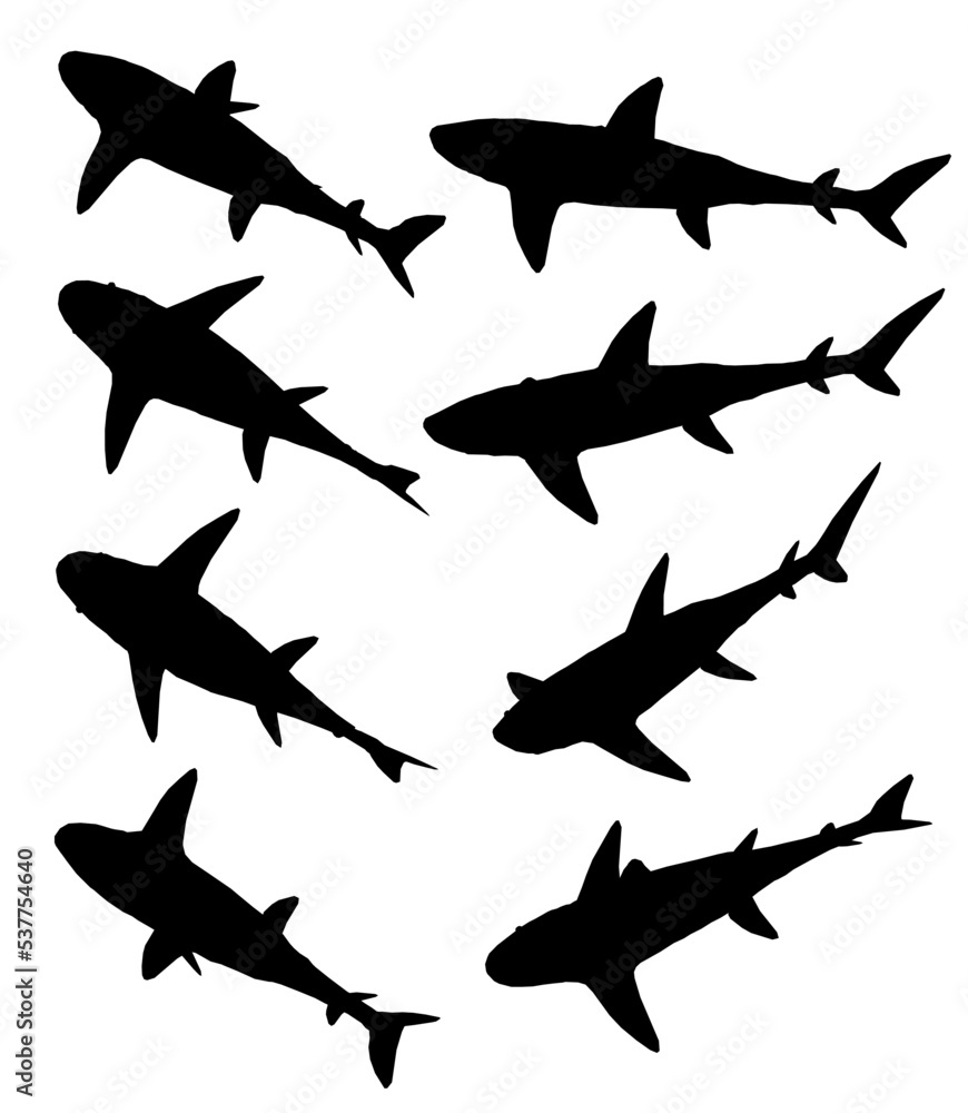 Set with shark silhouette in different positions isolated on white background. Isometric view. Vector illustration.