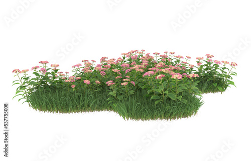 Grass and flowers isolated on background with mask. 3d rendering - illustration photo