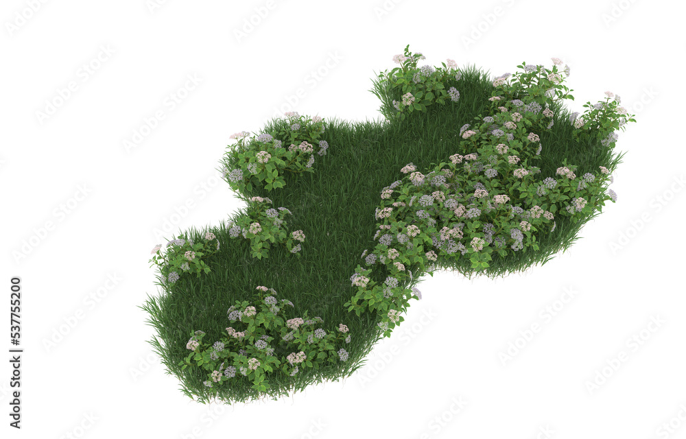 Grass and flowers on transparent background. 3d rendering - illustration Grass and flowers on transparent background. 3d rendering - illustration