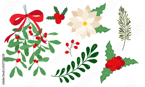 Christmas flower with berries. Christmas holly, poinsettia