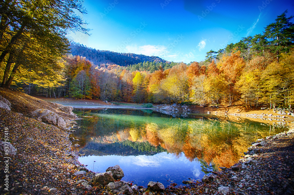 A morning in autumn and the forest, reflections on the small lake. A morning in autumn and the forest, reflections on the small lake.